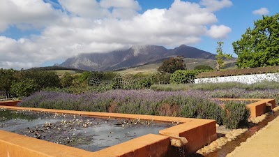 Photos of Babylonstoren