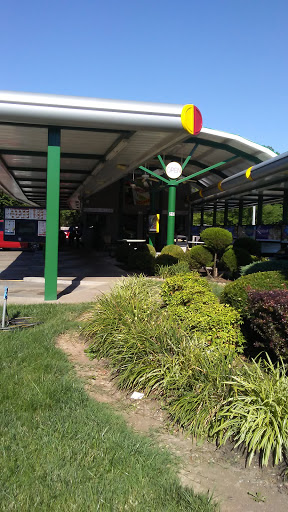 Fast Food Restaurant «Sonic Drive-In», reviews and photos, 217 S 12th St, Murray, KY 42071, USA