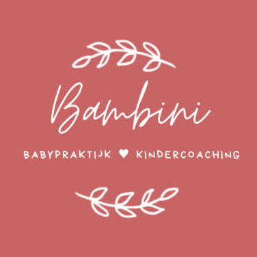 Praktijk Bambini & Baby Spa logo