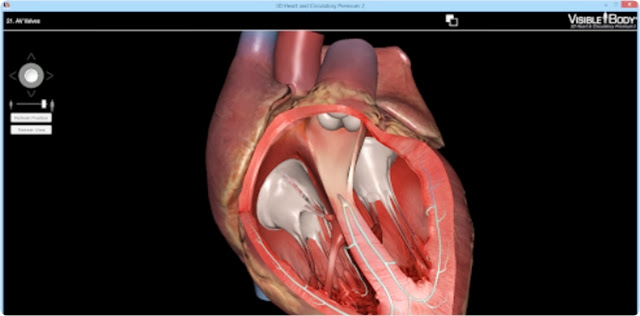 3D Heart & Circulatory Premium v2.0 Guia Visual 3D Anatomia y Fisiologia Humano 2013-08-11_01h46_01