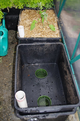 How to use net pots in aquaponics 49 Best Mother Daughter Gifts: Your Ultimate List 2022