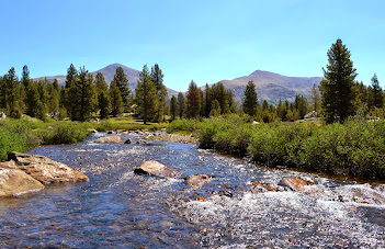 YOSEMITE: Un Parque Nacional con mayúsculas. - COSTA OESTE USA 2012 (California, Nevada, Utah y Arizona). (12)