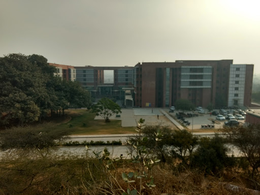 Café Coffee Day - Amity University Gurgaon, Inside Amity University, Panchgaon, Manesar, Amity University, Gurugram, Haryana 122413, India, Coffee_Shop, state HR