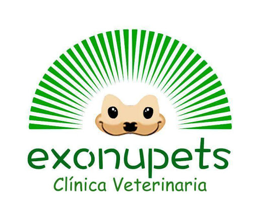 Veterinaria de Animales Exóticos - Exonupets, Caupolicán 1471, Temuco, IX Región, Chile, Cuidado veterinario | Araucanía