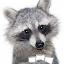 Fox Fox's user avatar
