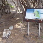 Information sign on track north of Saltwater Creek (105826)