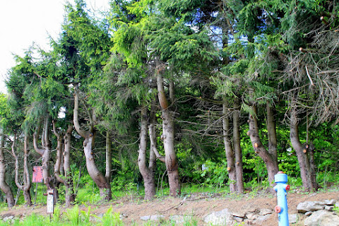 Настроенческое. Три дебила - это сила! Чески Крумлов: его близкие и не близкие окрестности