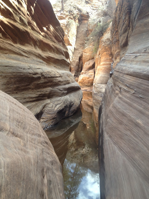 The narrow slot canyons of Zion