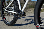 twohubs fatty belt Shimano Alfine 11 Complete Bike at twohubs.com