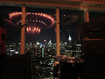 The view from the Standard Hotel's rooftop lounge - Midtown is always striking at night