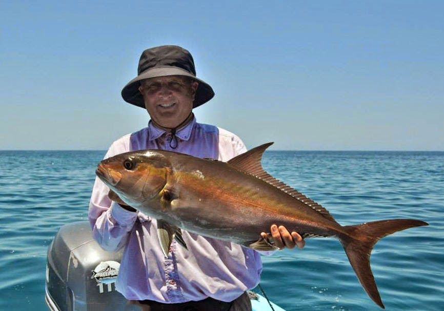 [Image: 07.20.14amberjack.jpg]