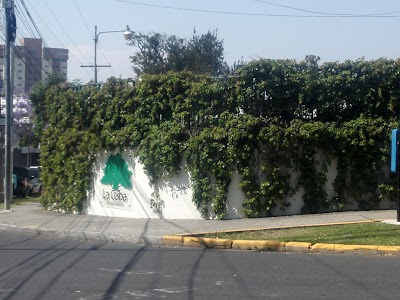 Photos of Aseguradora La Ceiba, S.A.