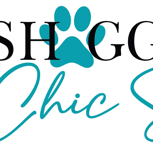 Shaggy 2 Chic Spa logo