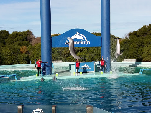 Mar del Plata Aquarium