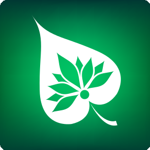 Bodhi Tree Massage logo