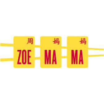 Zoe Ma Ma logo
