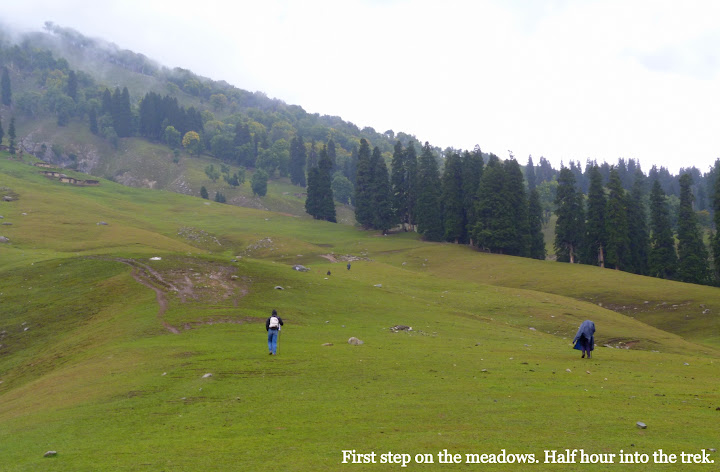 Kashmir great lakes trek