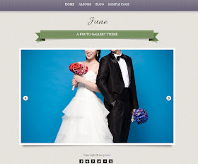 june En İyi WordPress Temaları 2013 (35 Adet)