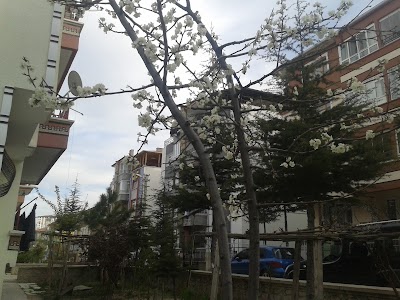 Photos of Sportif Halı Saha