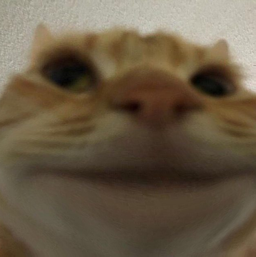 TonyBamanaboni4