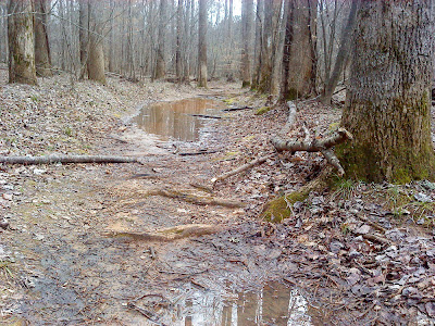 Richland Creek Trail Mud