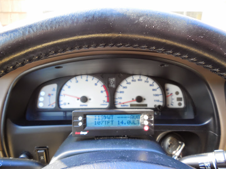 DSCN0803.JPG