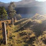 Crossing paddock from Watagan Creek Road (59372)