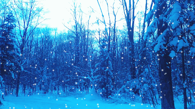Cover photo