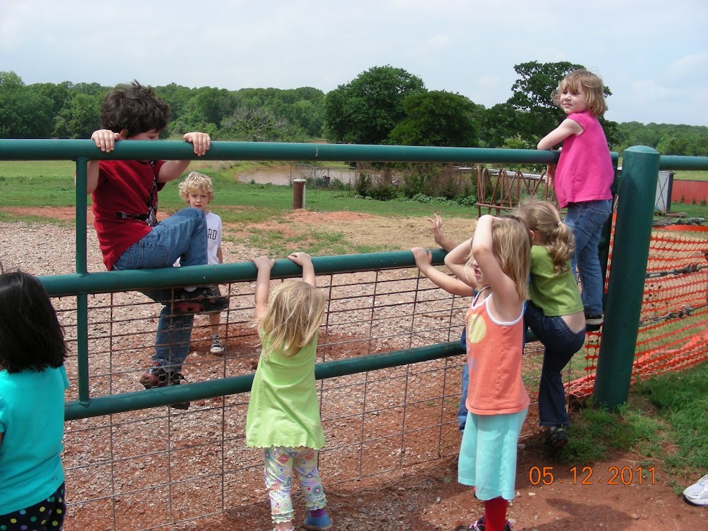 Egg Farm 2011