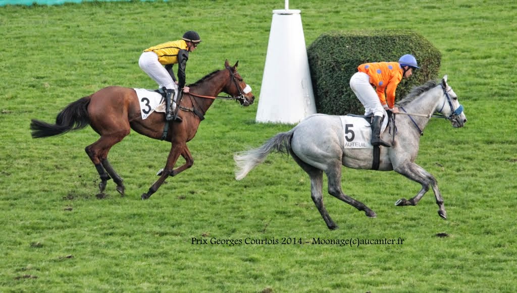 Photos Auteuil 23-11-2014  - Page 2 IMG_6327