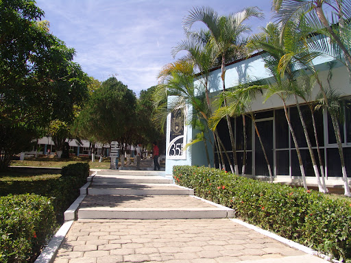 Facultad de Ciencias Agronómicas Campus V UNACH, Carretera Ocozocoautla Villaflores, CHIS 230, 30470 Chis., México, Universidad pública | CHIS