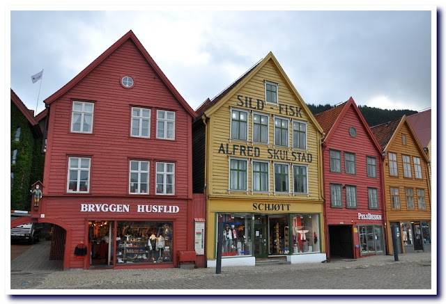 Viaje a la Noruega de los fiordos - Viaje a la Noruega de los fiordos y Copenhague. (19)