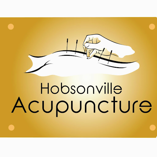 Hobsonville Acupuncture logo