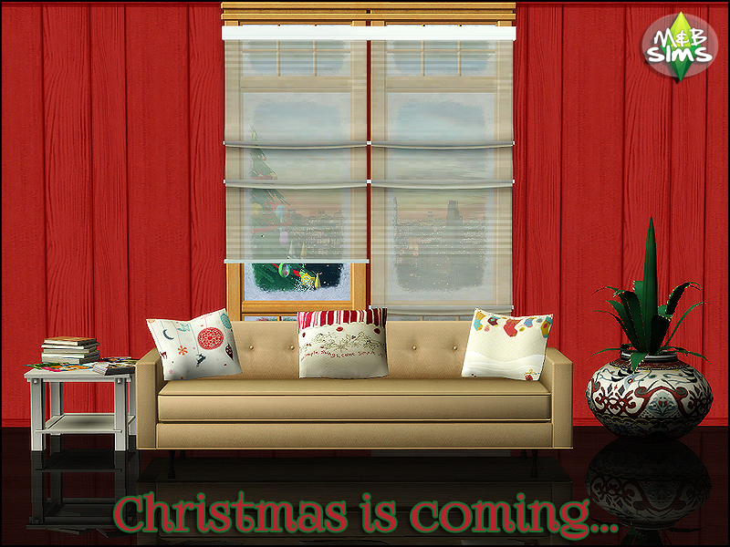 Christmas is coming... Coji