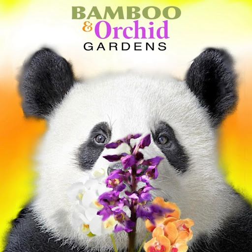 Bamboo And Orchid Gardens logo