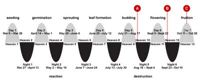 Mayan Calendar To End October 28 2011 Image