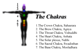 Kundalini And The Chakras