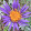 Nina F Nina F's profile photo