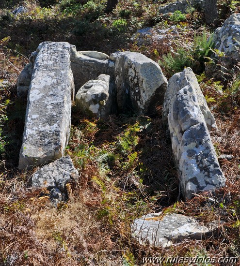 Dolmenes y menhir de Facinas