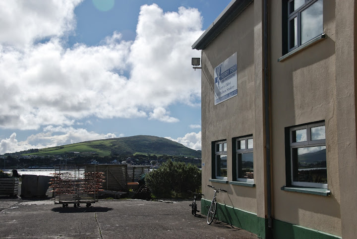 Kerry Fish, Portmagee, Ireland