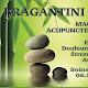 Bragantini Pascal Magnétiseur, Acupuncteur en MTC.