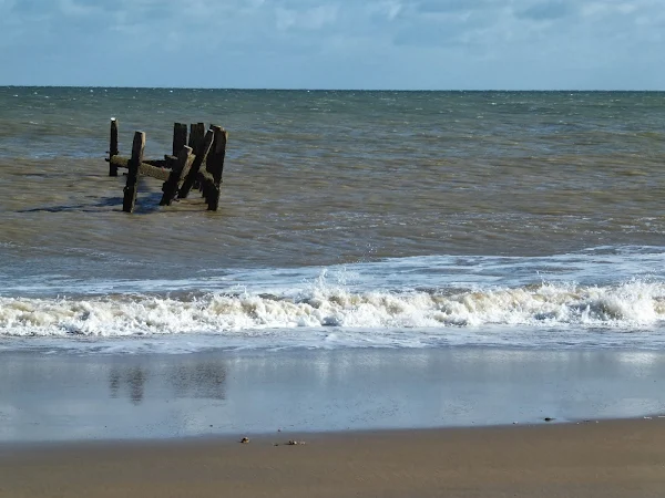 Remains of groynes, Eccles