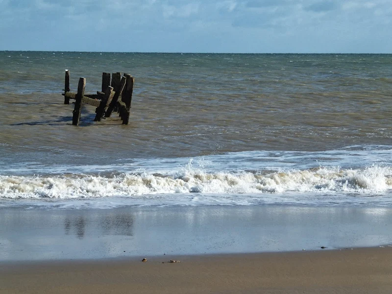 Remains of groynes, Eccles