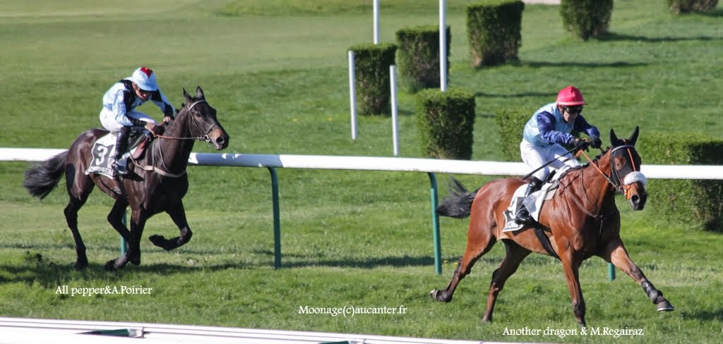 Photos Compiègne 18-04-2015 IMG_8309