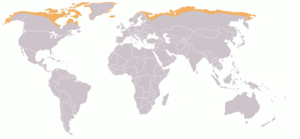 Map of arctic tundra shown in orange