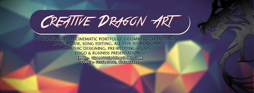 Creative Dragon Art, Creative Dragon Art. opp. Guru Tegh Bhadur School, Vardhman Rd, Moti Nagar, Ludhiana, Punjab 141009, India, Video_Production_Service, state PB