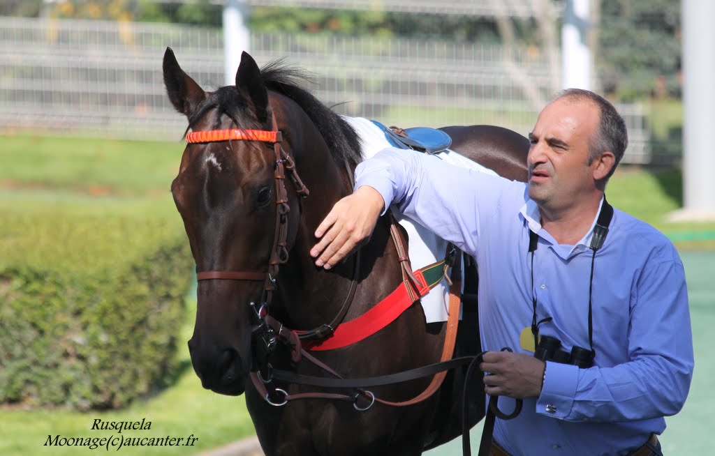 Photos Auteuil le 27-09-2014 IMG_4373