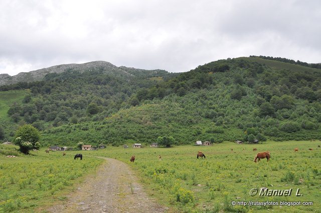 Vega de Brañagallones