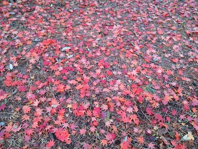 Photos of Futatabi Park