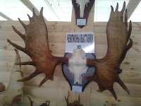 Photos de trophees en l'Exposition de la chasse en Bielorussie